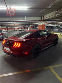 فۆرد مۆستانگ